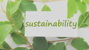 definitions of environmental sustainability