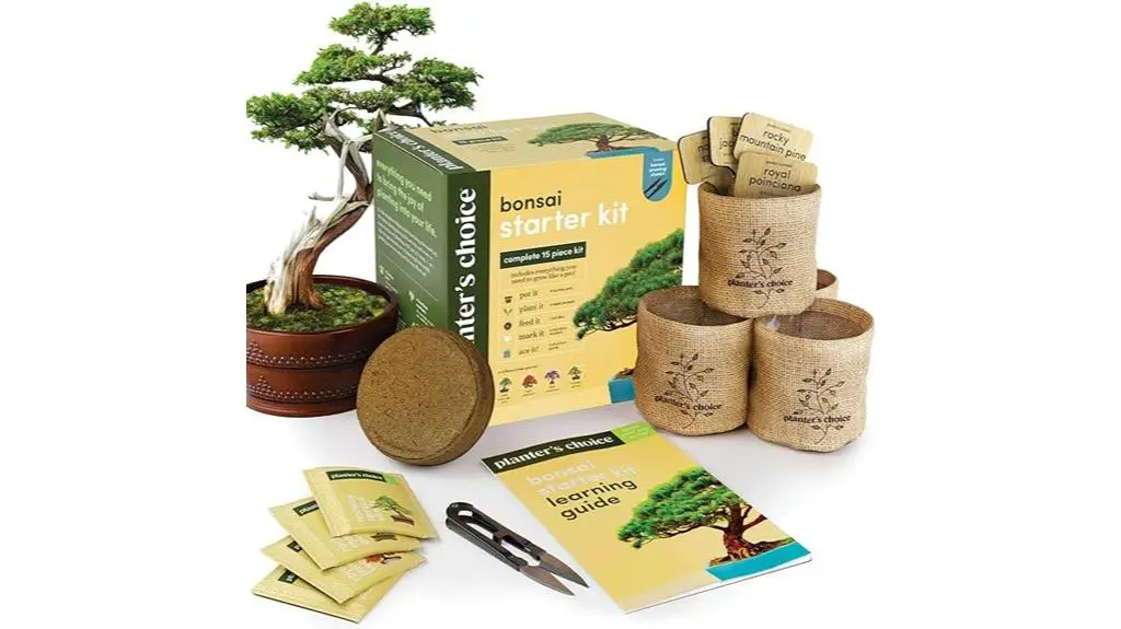 beginner bonsai gardening kit