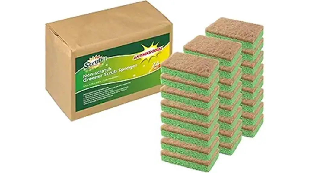 eco friendly cleaning sponge alternative