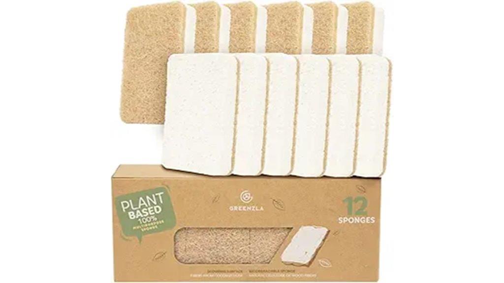 eco friendly kitchen sponges