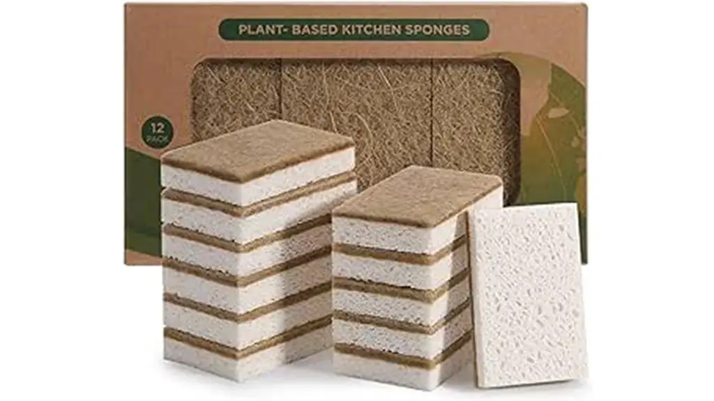 eco friendly natural cleaning sponges