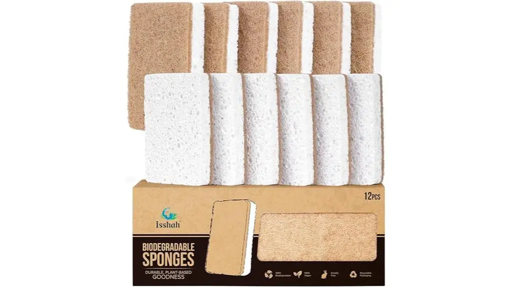 eco friendly plant based sponges