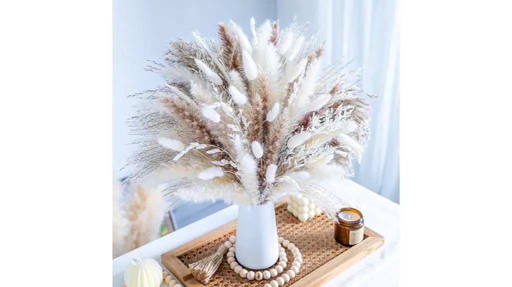 natural dried pampas grass