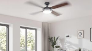 energy efficient ceiling fans